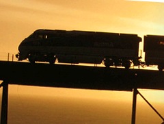 Yosemite National Park Yosemite Train Tours